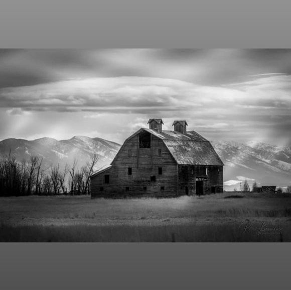 Meet your Posher, Jamie - Picture 10 of 16